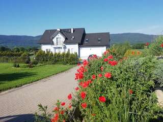 Проживание в семье Villa Borówka Поляница-Здруй-0